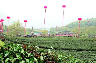 陇南市第四届采茶节（图二）