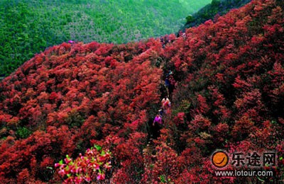 广西：世界长寿之乡生态旅游线（图一）